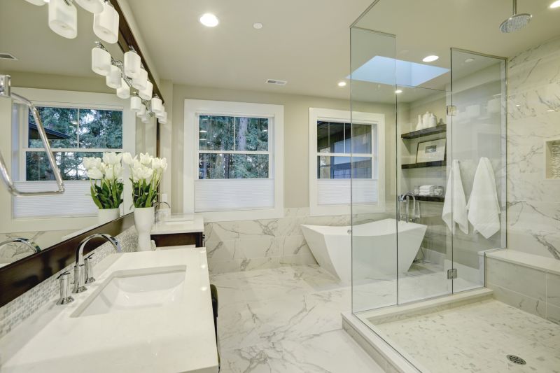 Elegant Shower Renovation